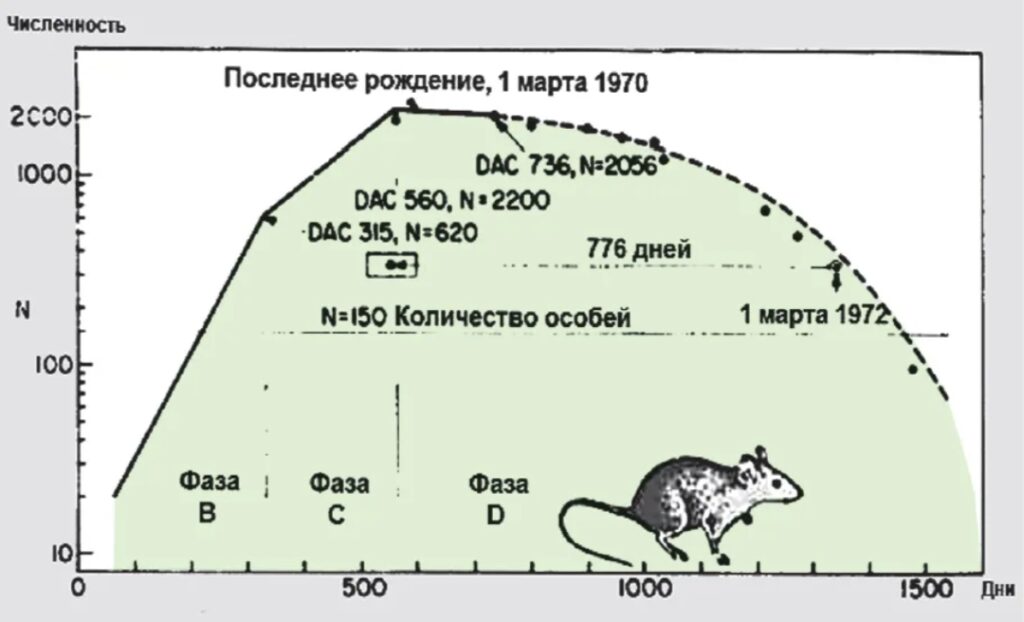 Что убивает Россию или почему нужно СВО